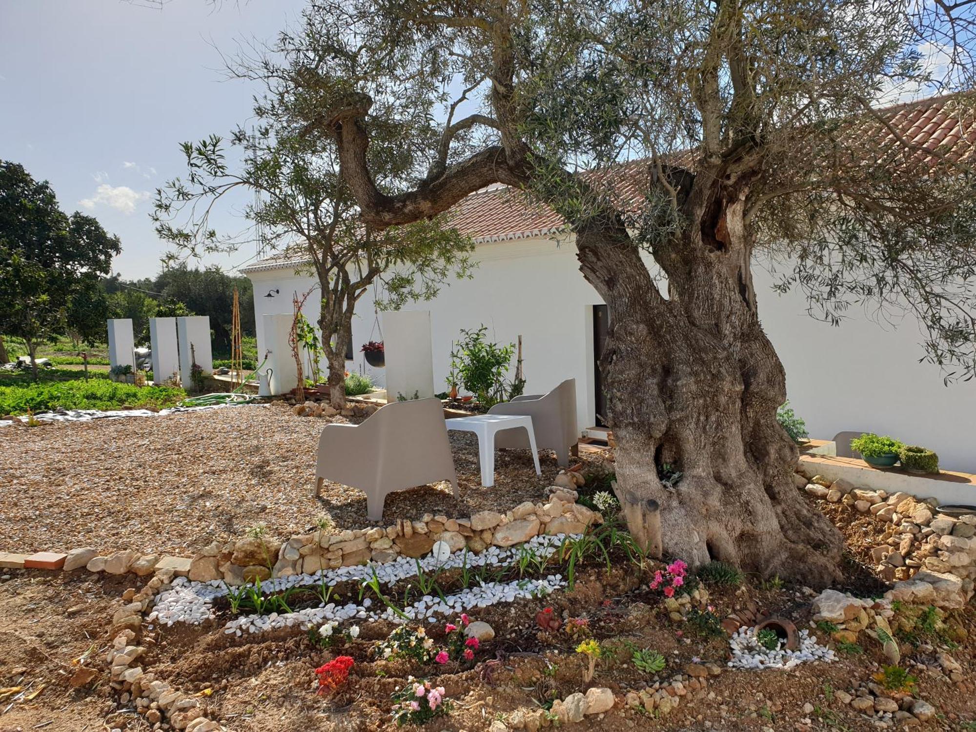 Monte Das Acoteias - Agroturismo Tavira Esterno foto