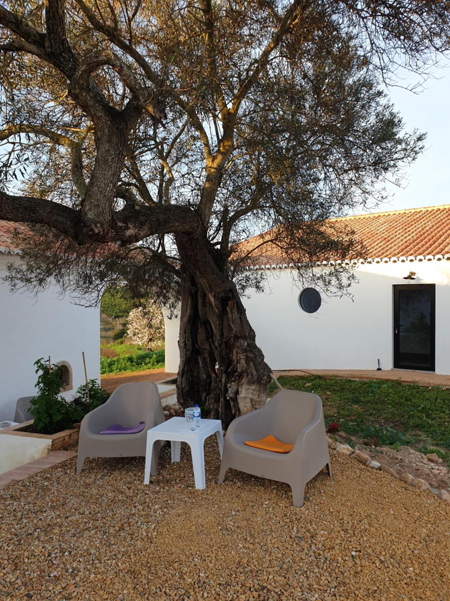 Monte Das Acoteias - Agroturismo Tavira Esterno foto